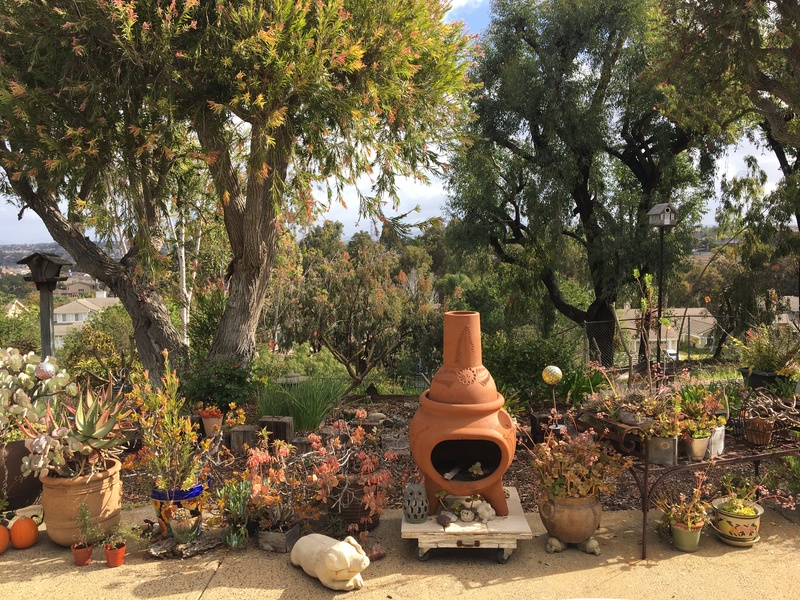 roommates in Carlsbad Private Room in 3Bed.3Bath - cirtru.com