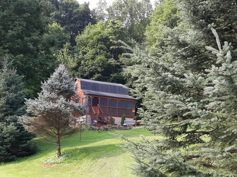 roommates in Kimbolton Entire Place 1Bed.1Bath - cirtru.com