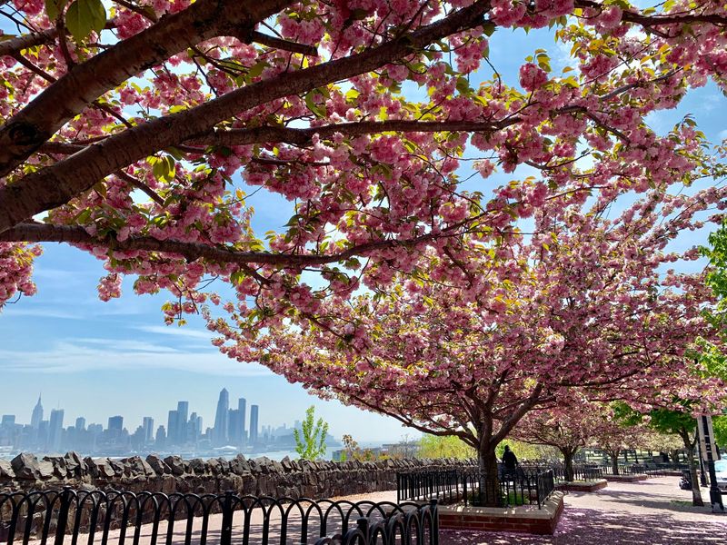 roommates in West New York Entire Place 2Bed.1Bath - cirtru.com