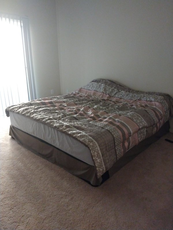 roommates in Финикс Shared Room in 1Bed.1Bath - cirtru.com