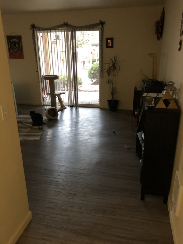 roommates in Tigard Private Room in 2Bed.2Bath - cirtru.com