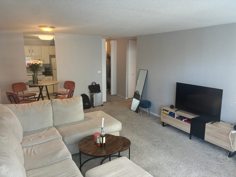 roommates in Chicago Entire Place 1Bed.1Bath - cirtru.com
