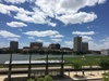 Roommate needed