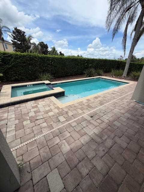 Live in Kissimmee by Disney! (id. 41044)