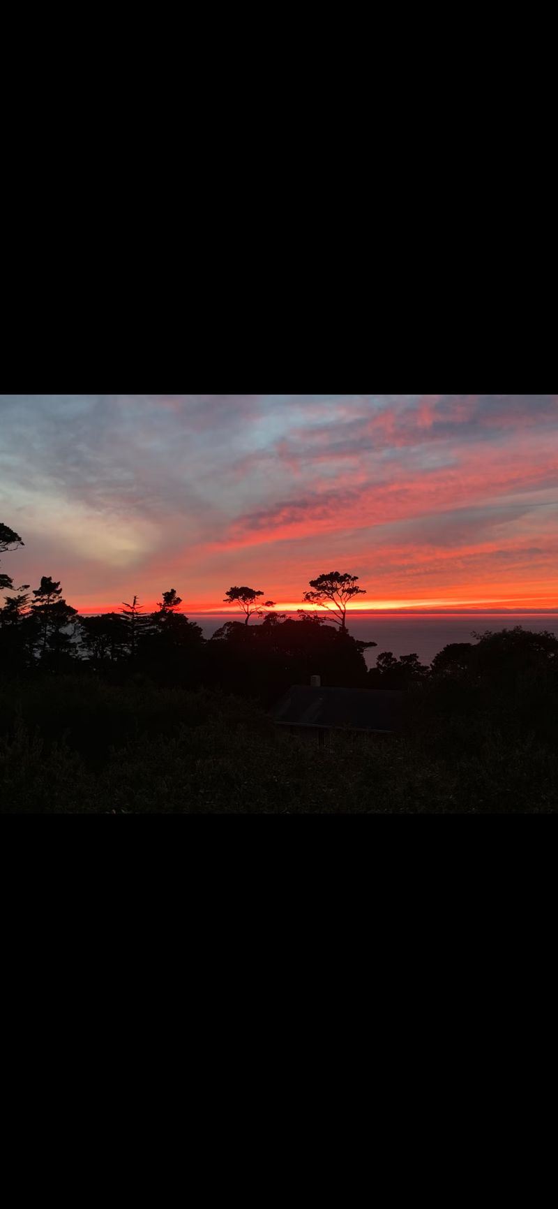 roommates in Carmel Entire Place 2Bed.1Bath - cirtru.com