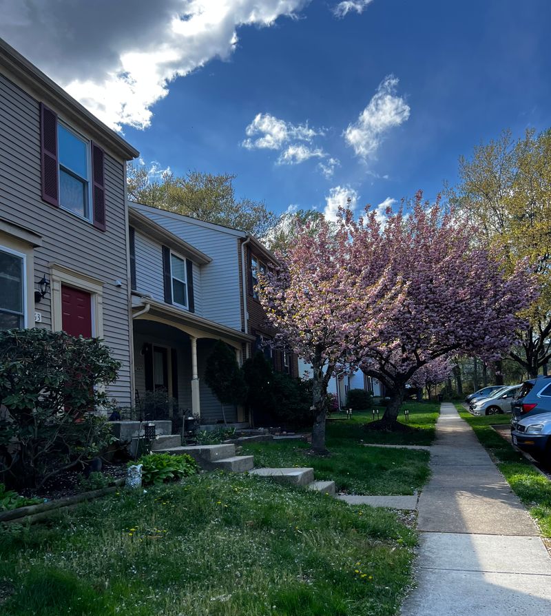 roommates in Springfield Private Room in 4Bed.2.5Bath - cirtru.com