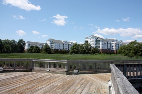 roommates in Stamford 1 Bedroom w/ Private Bathroom - cirtru.com