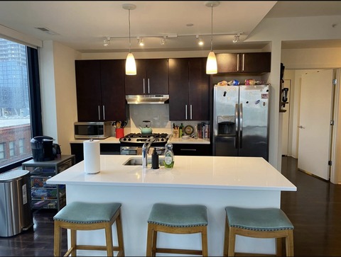 roommates in Chicago Entire Place 2Bed.2Bath - cirtru.com