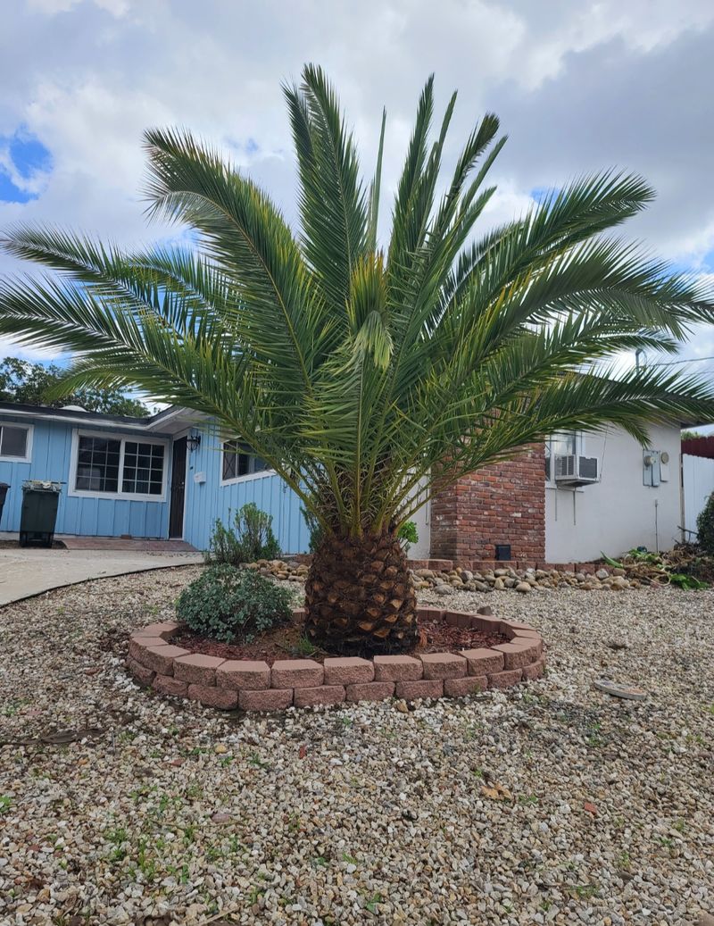 roommates in La Mesa Private Room in 4Bed.2Bath - cirtru.com