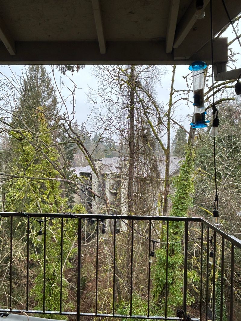 roommates in Milwaukie Entire Place 1Bed.1Bath - cirtru.com