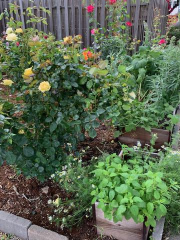 roommates in Oakland Private Room in 5Bed.2Bath - cirtru.com