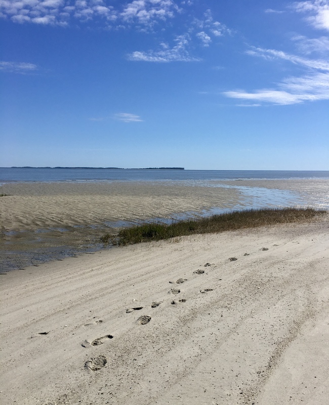roommates in Hilton Head Island Entire Place 2Bed.2Bath - cirtru.com