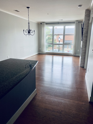 roommates in Alexandria Entire Place 1Bed.1Bath - cirtru.com