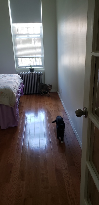 Private Room in 2Bed. 1Bath, Share
