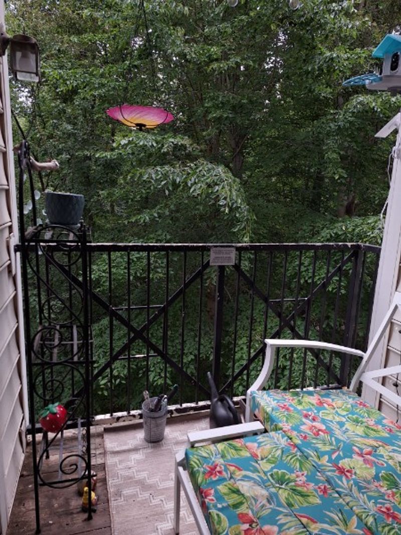 roommates in Fairfax Private Room in 2Bed.2Bath - cirtru.com