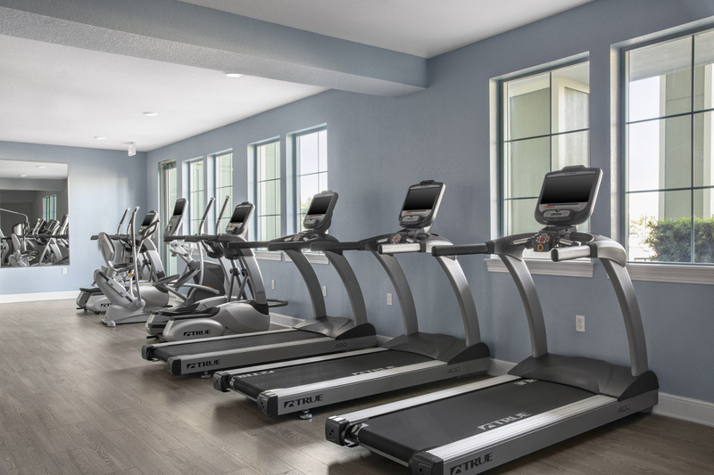 roommates in Largo Private Room in 3Bed.2Bath - cirtru.com