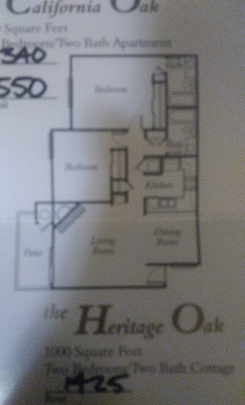 roommates in North Highlands Must like dogs - cirtru.com