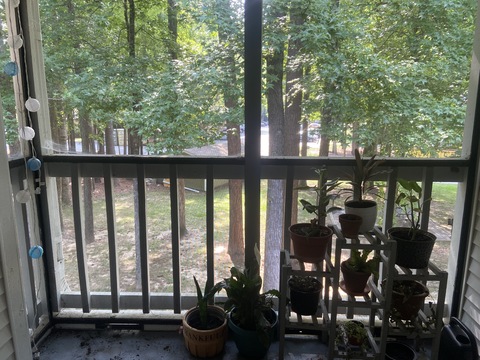 roommates in Durham Private Room in 2Bed.2Bath - cirtru.com