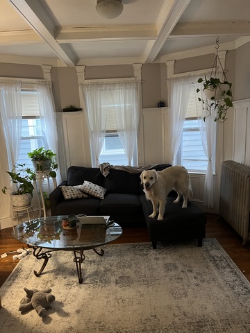 roommates in Dorchester Private Room in 4Bed.1Bath - cirtru.com