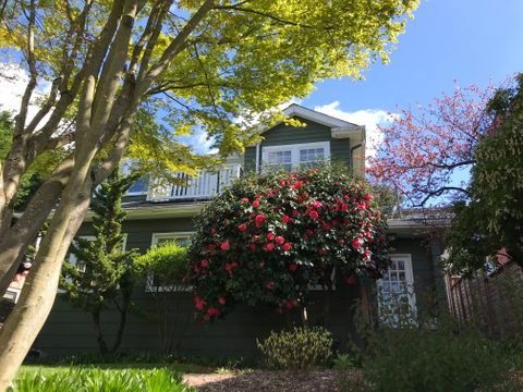 Private Room in 4Bed.2Bath