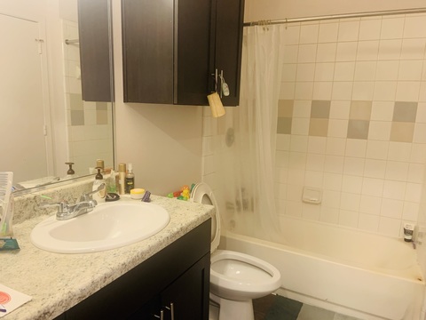 roommates in Dallas Entire Place 1Bed.1Bath - cirtru.com