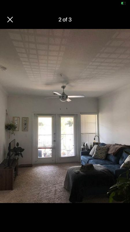 roommates in Austin Entire Place 2Bed.1Bath - cirtru.com