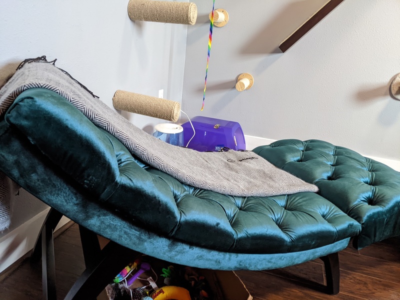 Pet Friendly 3bed/1bath 9 Lives Inn