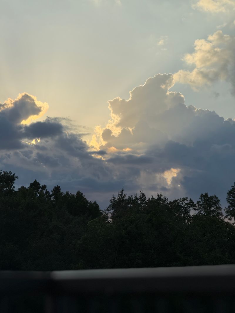 roommates in Wesley Chapel Private Room in 3Bed.2Bath - cirtru.com