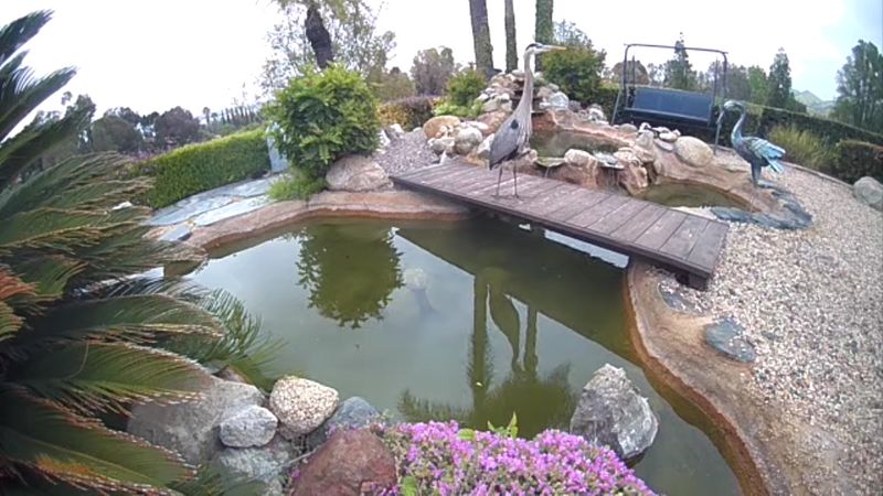 roommates in Chino Hills Private Room in 2Bed.2Bath - cirtru.com