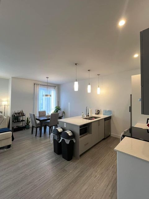 roommates in Raleigh Entire Place 1Bed.1Bath - cirtru.com