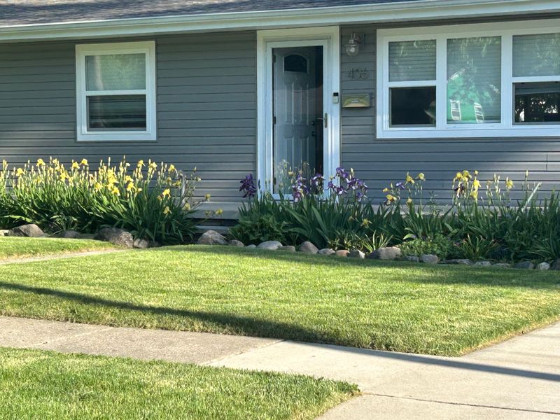 roommates in Fenton Private Room in 3Bed.2Bath - cirtru.com