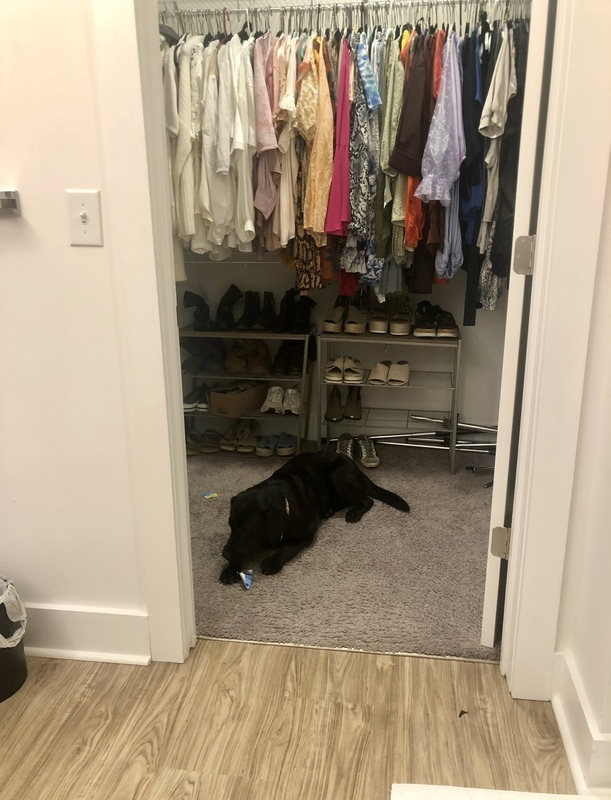 roommates in Charlotte Entire Place 2Bed.2Bath - cirtru.com