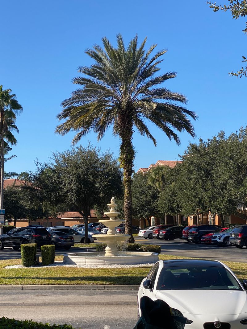 roommates in Jacksonville Room2Bed.1Bath - cirtru.com