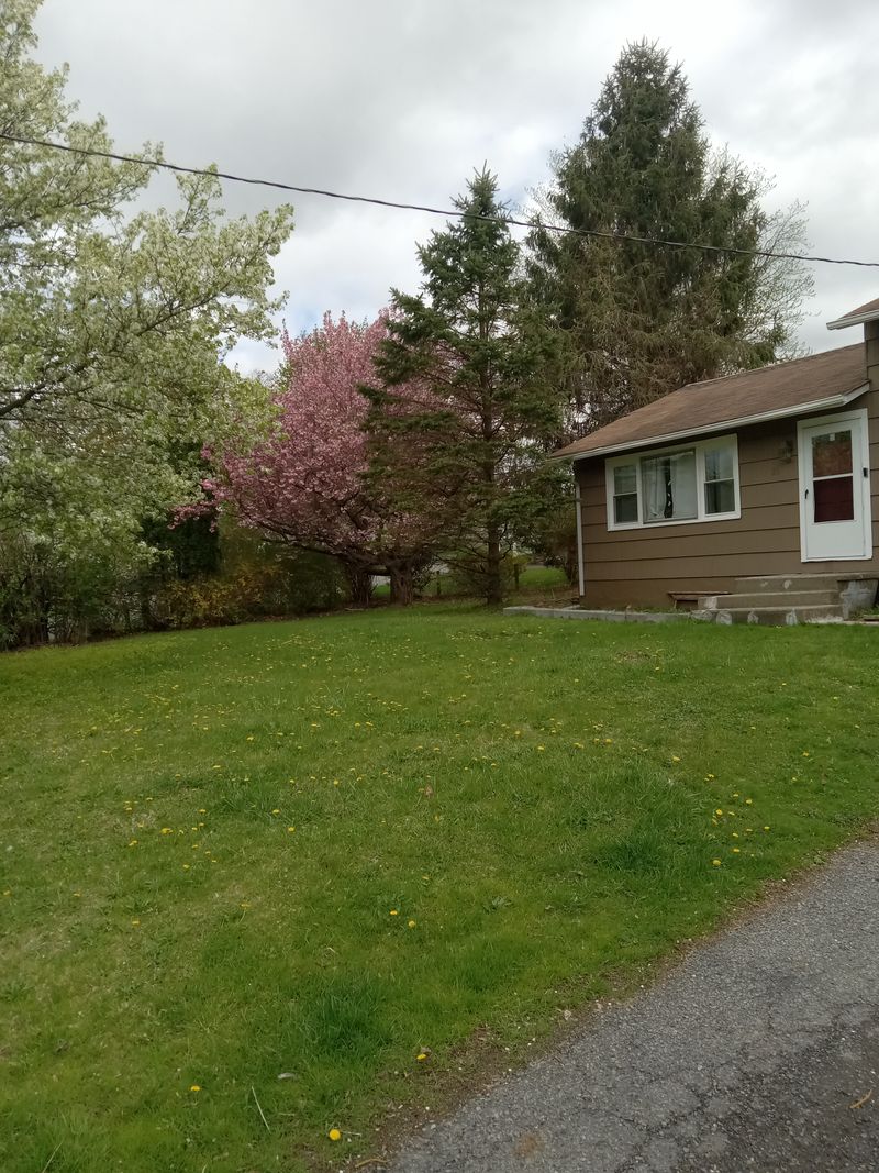 roommates in Middletown Private Room in 4Bed.1.5Bath - cirtru.com