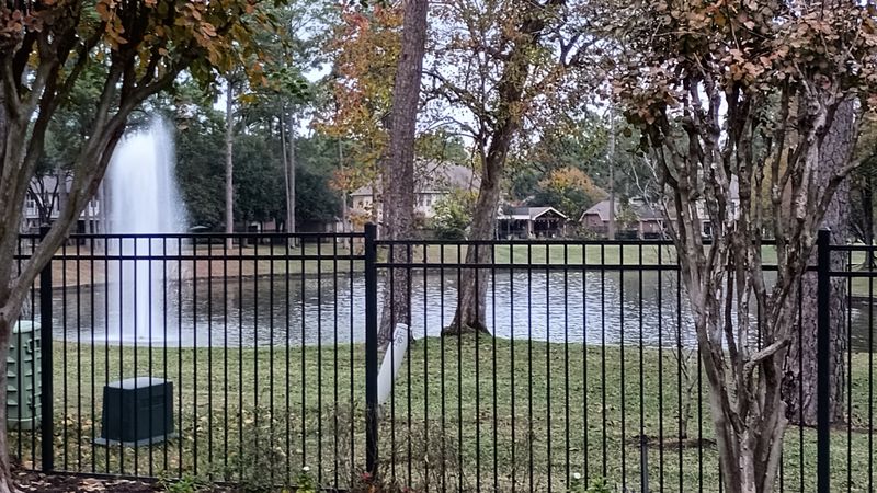 roommates in Cypress Private Room in 4Bed.3.5Bath - cirtru.com