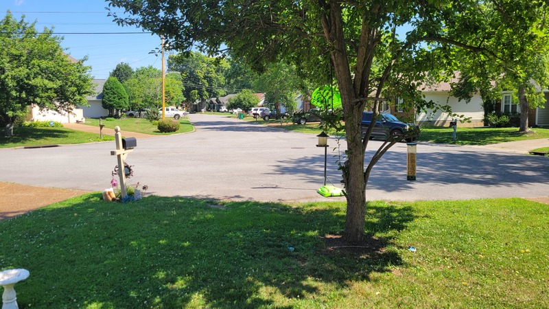 roommates in Hendersonville Private Room in 3Bed.3Bath - cirtru.com