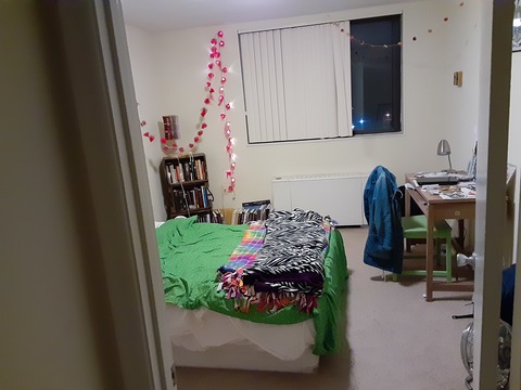 roommates in Silver Spring Private Room in 4Bed.2Bath - cirtru.com