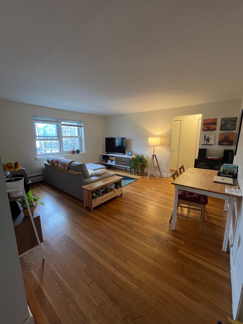 roommates in Brookline Entire Place 1Bed.1Bath - cirtru.com