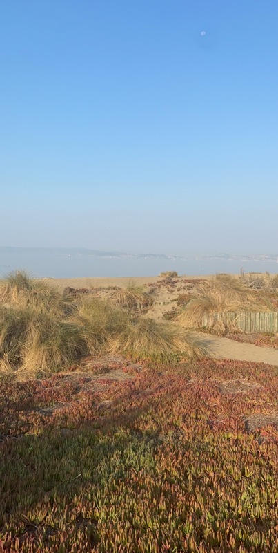 roommates in Alameda Private Room in 2Bed.1Bath - cirtru.com