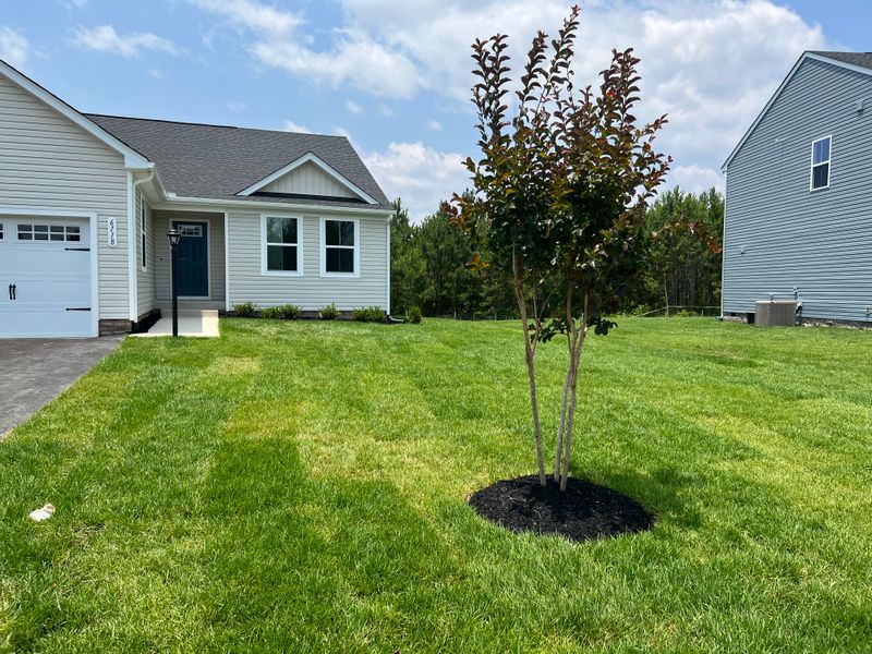 roommates in North Chesterfield Private Room in 1Bed.1Bath - cirtru.com