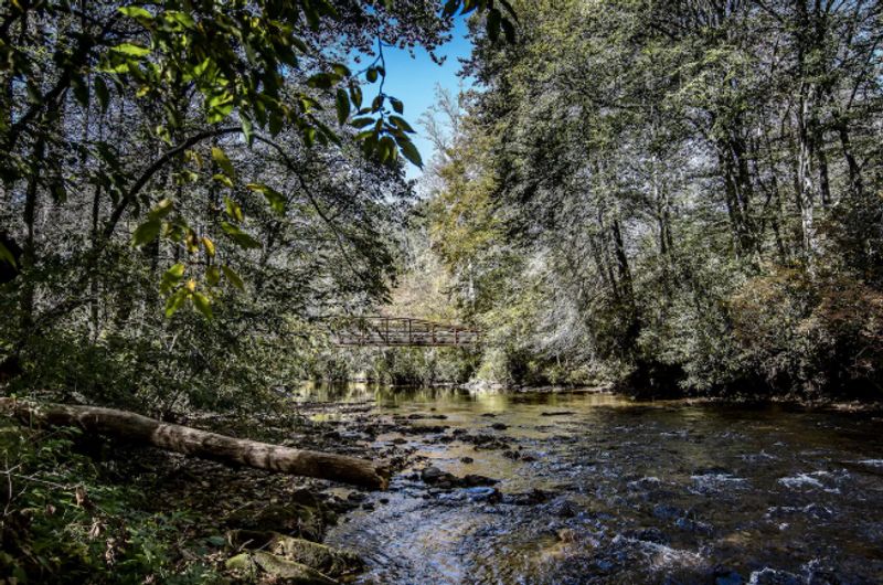 roommates in Brevard Entire Place 3Bed.1Bath - cirtru.com