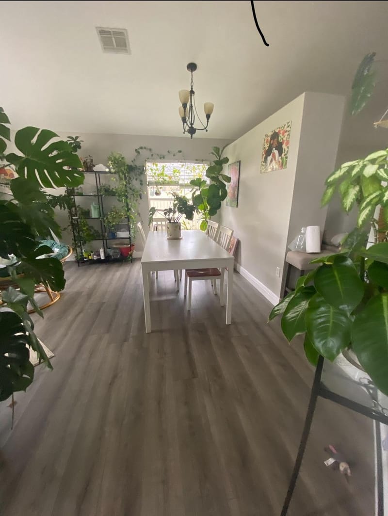 Good Vibes Only Home (id. 31611)