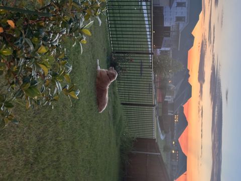 Private Room in 4Bed.3Bath