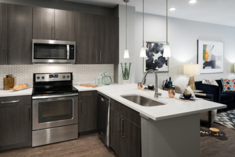 roommates in Denver Entire Place 1Bed.1Bath - cirtru.com