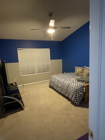 roommates in Brandon Private Room in 3Bed.3Bath - cirtru.com