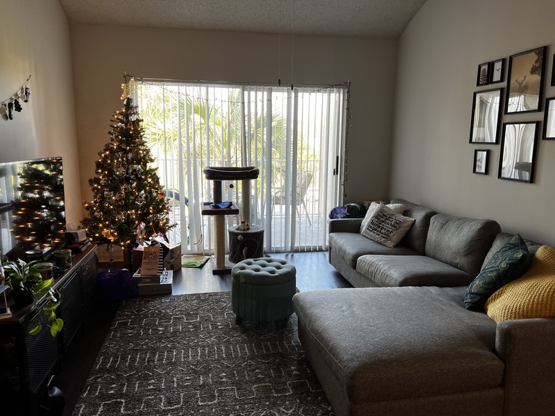 roommates in Boynton Beach Private Room in 2Bed.2Bath - cirtru.com