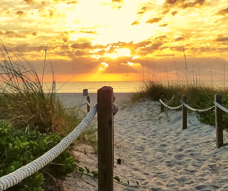 roommates in Miami Beach Entire Place 1Bed.1Bath - cirtru.com