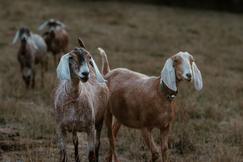 Entire Place 1Bed.1Bath