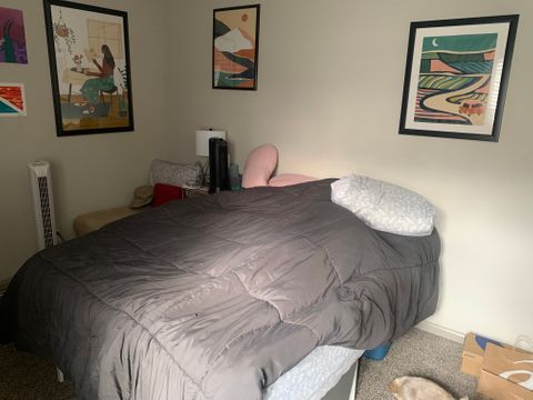 roommates in Raleigh Private Room in 3Bed.3Bath - cirtru.com
