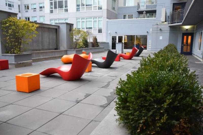 roommates in Brooklyn Private Room in 3Bed.2Bath - cirtru.com